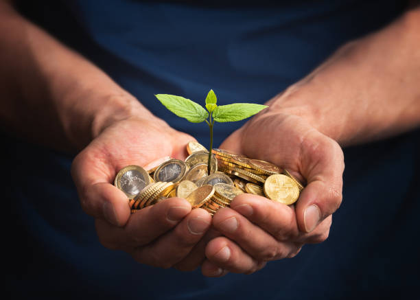 Sustainable Growth